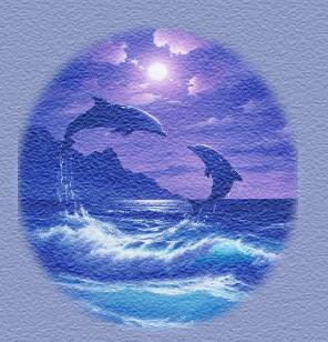 dolphins.jpg (19403 bytes)