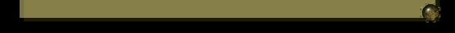 NSbottomjpg